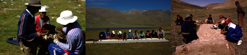 Herders' Collaboration © Kamimura Akira